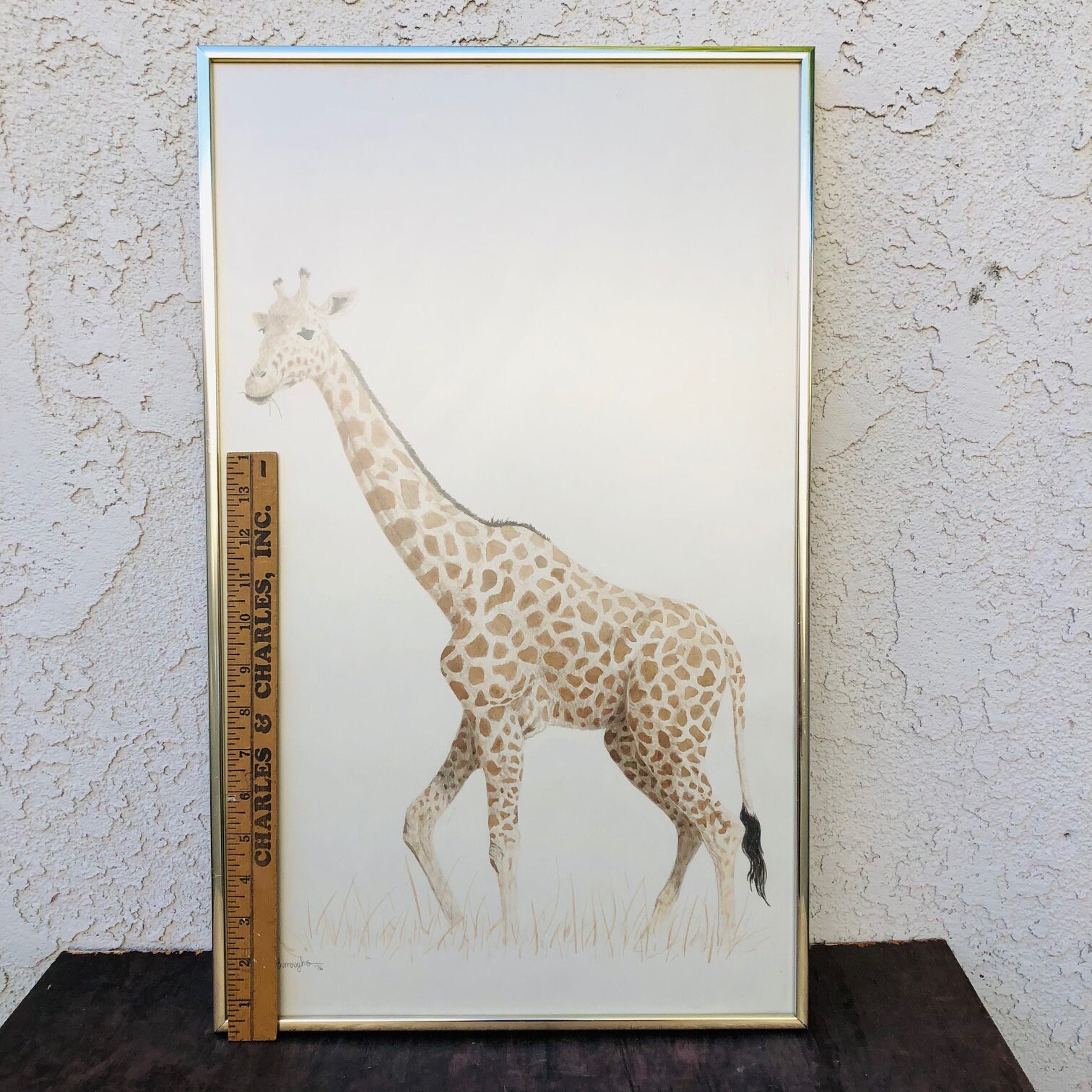 ヴィンテージ額入りキリンリトグラフプリント、キム・E・バローズの