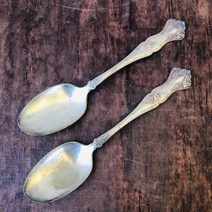 Set of 2 Antique Serving Spoons, 1847 Roger Bros XS Triple, Grape Pattern 8&quot; Vintage Spoons, Kitchen Gift For Her, Retro Tableware, #CE0611