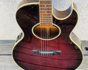 ギター 320design brown feather Washburn EA20S Nuno Bettencourt Festival Series Cutaway