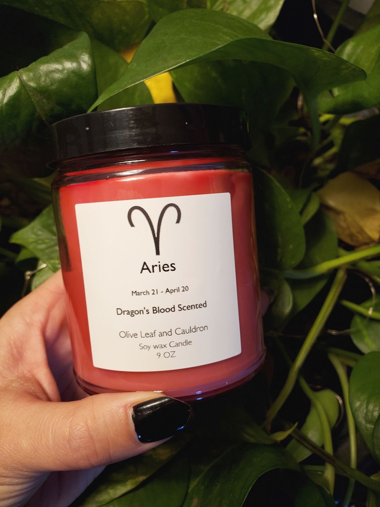 Aries Candle Zodiac Candles Witchcraft Supply Intention Etsy