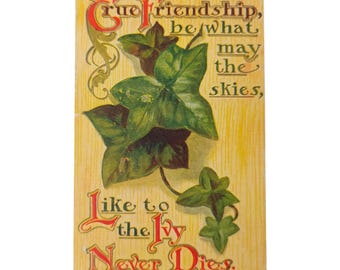 Vintage Ca. 1900s True Friendship Like To The Ivy Never Dies Embossed Postcard