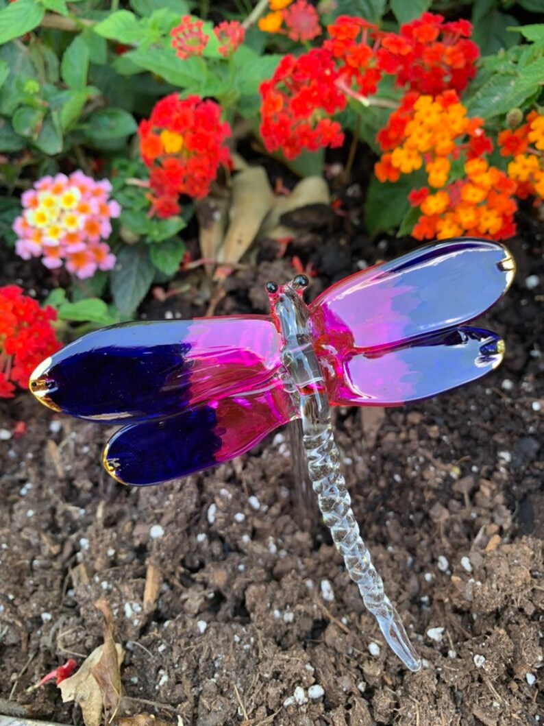 Blown Glass dragonfly plant stick/garden art Etsy