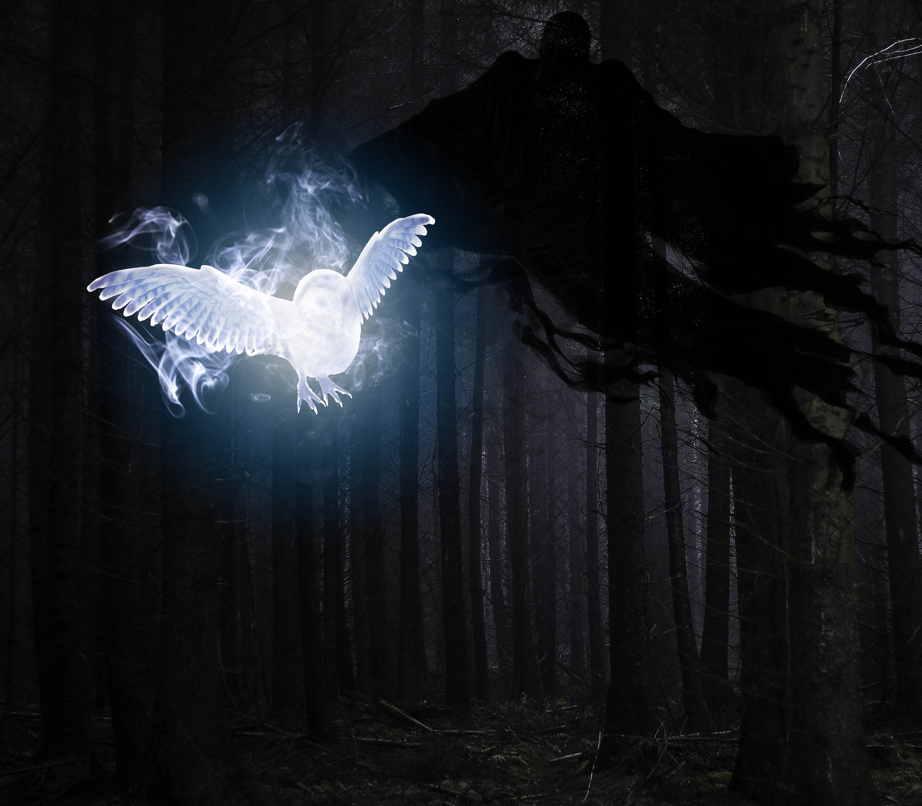 Owl Patronus PNG File for Etsy UK