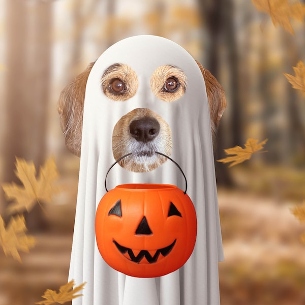 Ghost Dog Halloween Pet Cutout Halloween Digital Background Backdrop Fall background Pet portrait