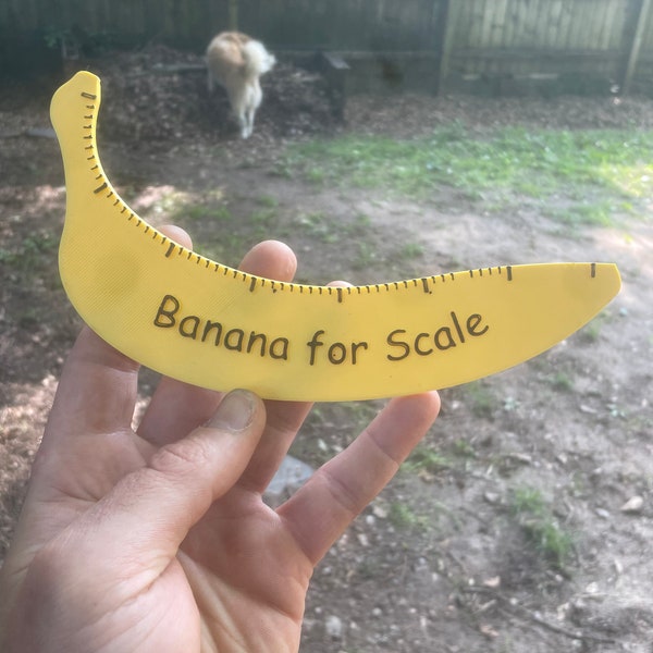 Banana For Scale