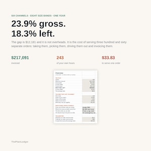 May include: A business infographic titled Six Channels, Eight Size Bands, One Year. It displays financial data including 23.9% gross, 18.3% left, &pound;217,091 invoiced, 243 hours, and &pound;33.83 to serve one order, alongside a detailed spreadsheet overview table.