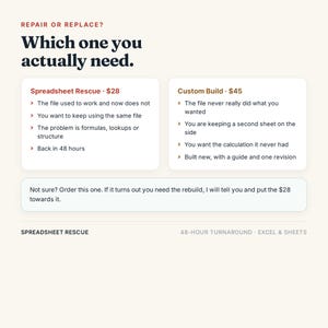May include: An informational graphic titled Repair or Replace? Which one you actually need. It compares Spreadsheet Rescue and Custom Build services with bulleted lists of features, including a note for uncertain customers and a 48-hour turnaround label.