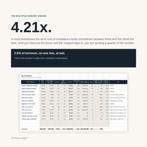Compliance & Certification Cost Tracker Spreadsheet | True Cost of Accreditation Excel Google Sheets Template | Audit and Renewal Log bild 12