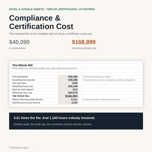 Compliance & Certification Cost Tracker Spreadsheet | True Cost of Accreditation Excel Google Sheets Template | Audit and Renewal Log bild 1