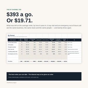 May include: A business data table titled By Channel showing order metrics including how orders came in, invoiced amounts, gross profit, cost to serve, and what was left. The text reads $393 a go. Or $19.71. and The best order you can take.