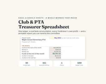 Club and PTA Treasurer Spreadsheet, Excel Google Sheets, Bank Reconciliation and Budget Report (Digital Download)
