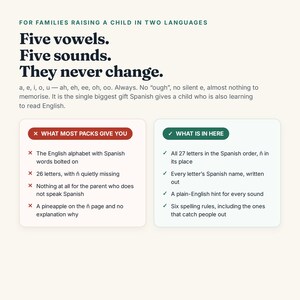 Puede incluir: Una infograf&iacute;a educativa para familias biling&uuml;es titulada Five vowels. Five sounds. They never change. Compara los paquetes de aprendizaje de espa&ntilde;ol est&aacute;ndar con este conjunto, destacando caracter&iacute;sticas como las 27 letras y reglas.