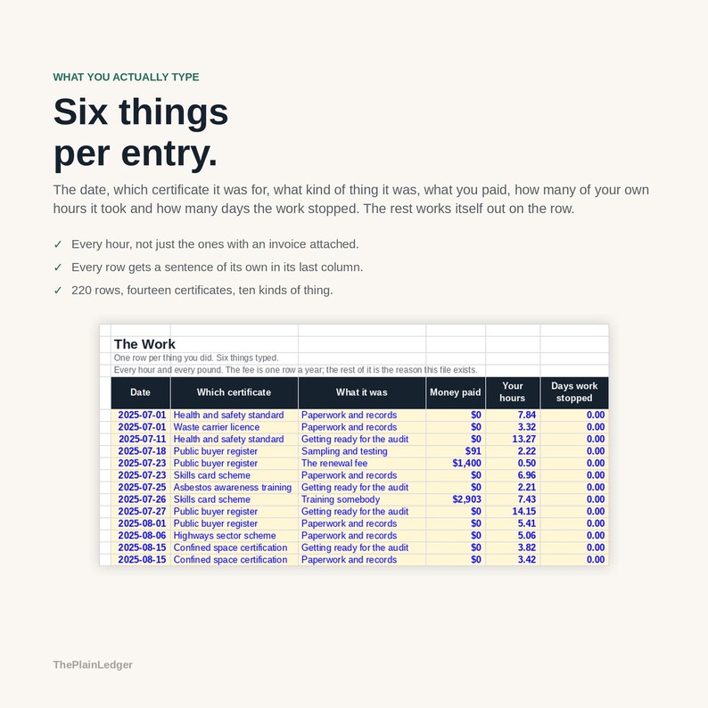 Compliance & Certification Cost Tracker Spreadsheet | True Cost of Accreditation Excel Google Sheets Template | Audit and Renewal Log bild 11