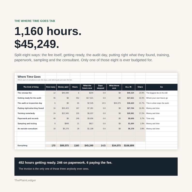Compliance & Certification Cost Tracker Spreadsheet | True Cost of Accreditation Excel Google Sheets Template | Audit and Renewal Log bild 6