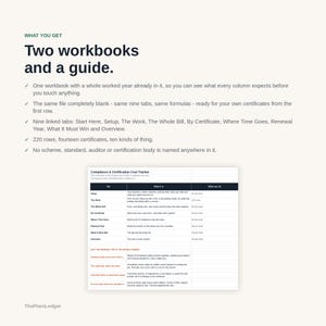 Compliance & Certification Cost Tracker Spreadsheet | True Cost of Accreditation Excel Google Sheets Template | Audit and Renewal Log bild 13