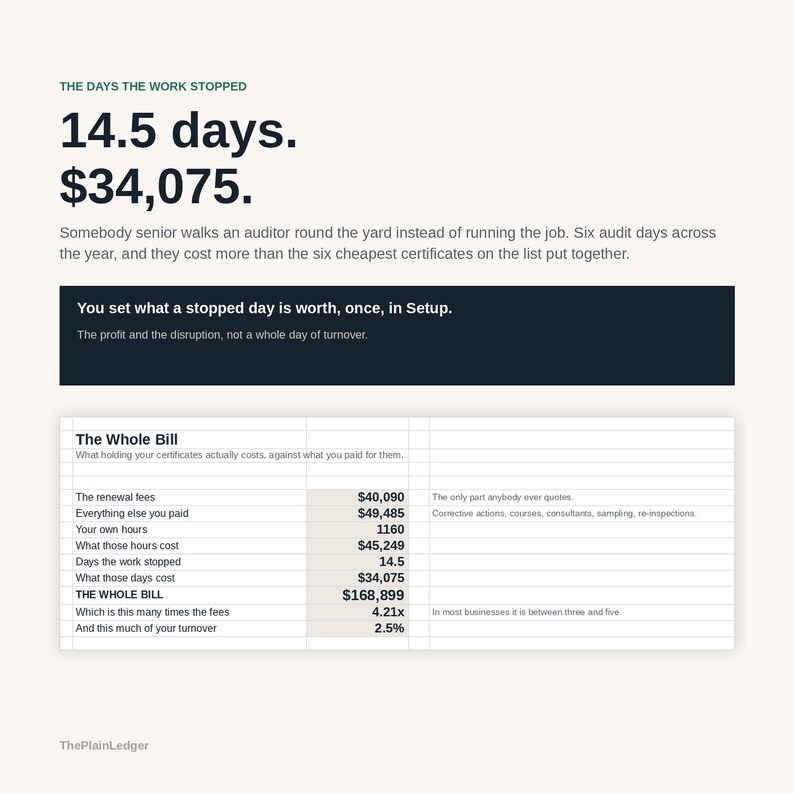 Compliance & Certification Cost Tracker Spreadsheet | True Cost of Accreditation Excel Google Sheets Template | Audit and Renewal Log bild 7