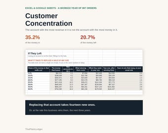 Customer Concentration Tracker Spreadsheet | Key Account Profitability Excel Google Sheets Template | Cost to Serve Analysis