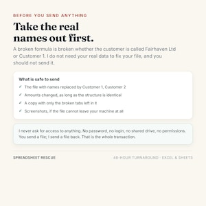 May include: An informational graphic titled Before You Send Anything, Take the real names out first. It provides instructions on data privacy for spreadsheet services, listing safe file practices and stating that no passwords or logins are required.