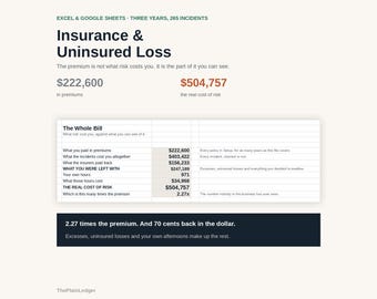 Insurance & Uninsured Loss Tracker Spreadsheet | Cost of Risk, Claims and Excess Excel Google Sheets Template | Claim or Not Calculator