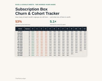 Subscription Box Spreadsheet, Churn and Cohort Retention Tracker, Customer Lifetime Value vs Acquisition Cost, Excel Google Sheets