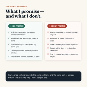 May include: An informational graphic titled Straight Answers: What I promise &mdash; and what I don't. It features two columns: a green box listing five service promises including a 12-point audit, and a red box listing five things not promised.