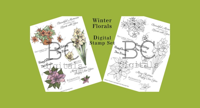 Winter Florals Stamp Set jpg png and print and go sheets image 0