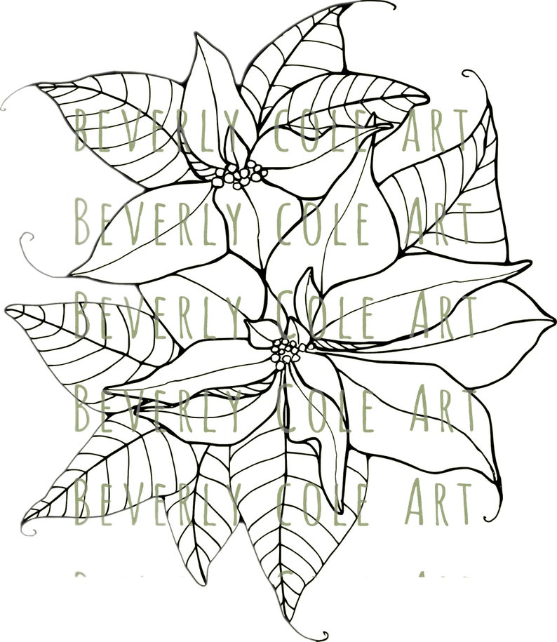 Poinsettia Pair Digital Stamp and Paper Set for Christmas image 2