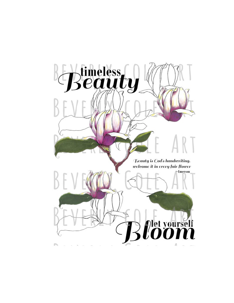 My Magnolia Stamp Set PNG's JPG's for Crafting image 0