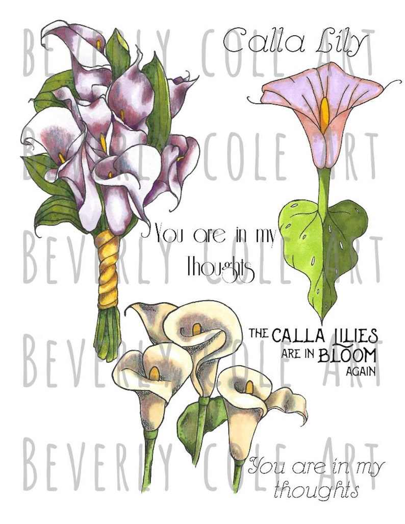 Calming Callas Stamp Set for collage cards scrapbooking and image 3