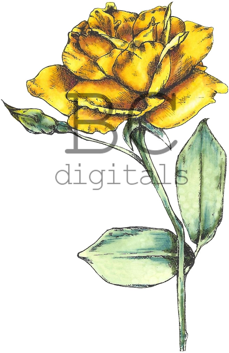 BONUS Yellow Rose Vintage Roses & Birds Digital Stamp Set. image 2