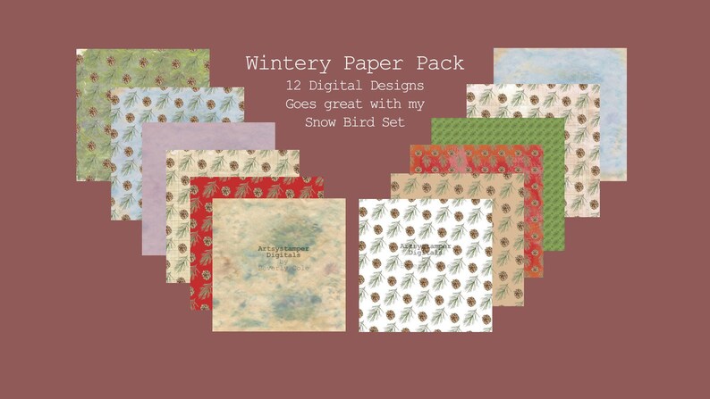 Wintry Paper Pack sister set to Snow Birds Stamp Set green image 0