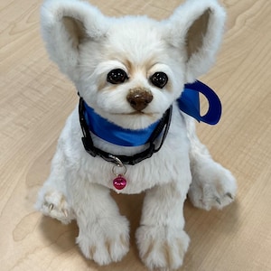 OOAK Realistischer Plüsch Stofftier Chihuahua Welpe Hund - &quot;&quot;Blue&quot;&quot;