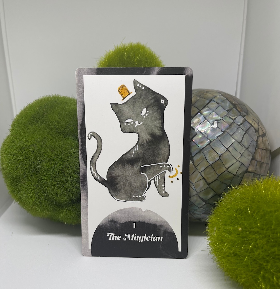 Black Cat Tarot Cards Tarot Cats Tarot Deck 78 Classic Beginner Future