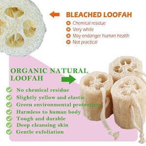 Organic Loofah Sponge 100% Biodegradable for Bath Or Kitchen Use Free gift image 2