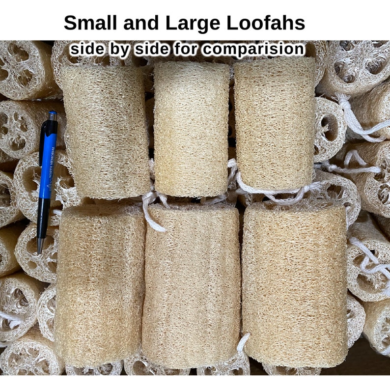 Organic Loofah Sponge 100% Biodegradable for Bath Or Kitchen Use Free gift image 8