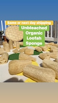 Organic Unbleached Loofah Sponge Same or Next Day shipping USA