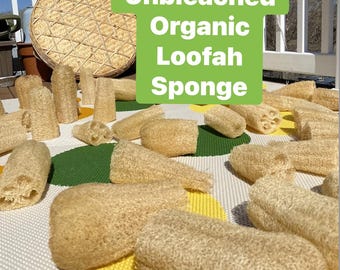 Organic Unbleached Loofah Sponge Same or Next Day shipping USA