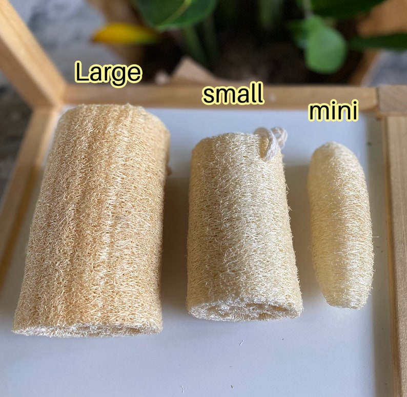 Organic Loofah Sponge 100% Biodegradable for Bath Or Kitchen Use Free gift image 6