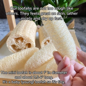 Organic Loofah Sponge 100% Biodegradable for Bath Or Kitchen Use Free gift image 3