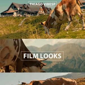 Premium Sony S-Log LUTs Collection - Cinematic Color Grading for Filmmakers - Compatible with Sony Cameras- Professional Video Presets
