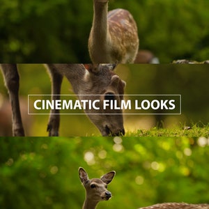 High-Quality Sony S-Log LUTs | Color Grading for DaVinci Resolve, Premiere Pro, Final Cut Pro & More | Perfect for Filmmakers