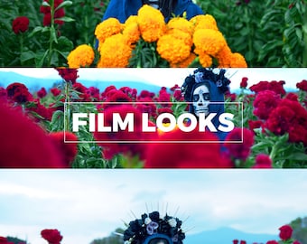 BMPCC 4K/6K Presets: Cinematic Adobe Premiere Pro Color Grading + Portfolio Website Template HTML