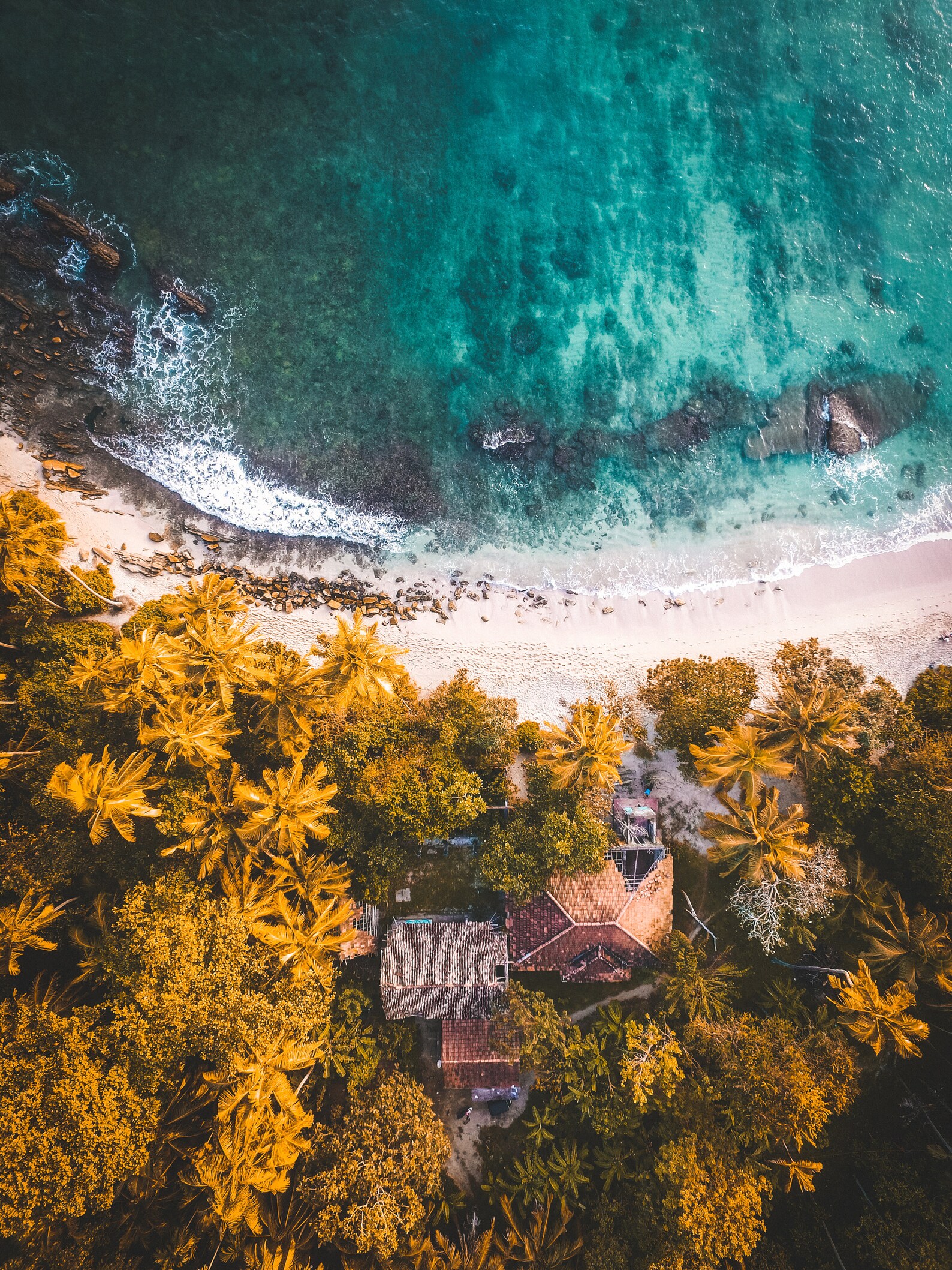 NATURE Lightroom Presets Presets for Instagram Blogger Moody Etsy