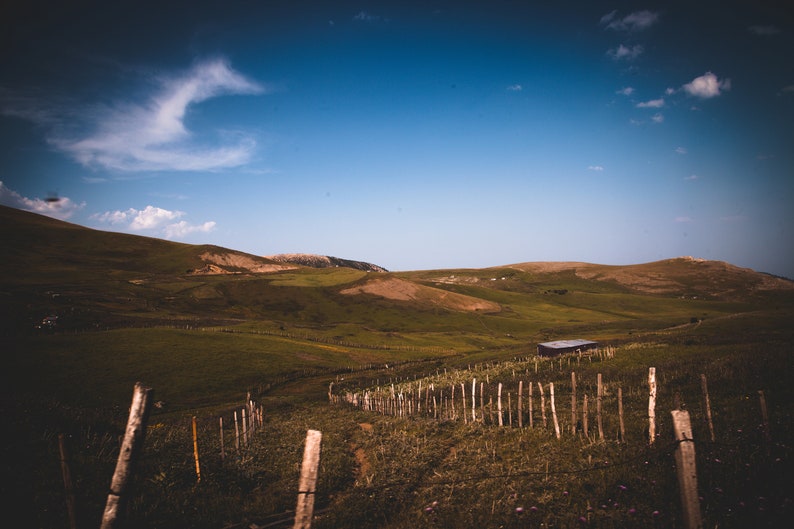 Presets Camera Raw 1 Vol Thiago Vibesp/' Choice PROFESSIONAL PRESETS Lightroom PresetsPs