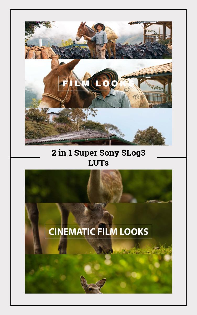 Cinematic Sony SLog3 LUTs: 9 Pro Color Grading Presets