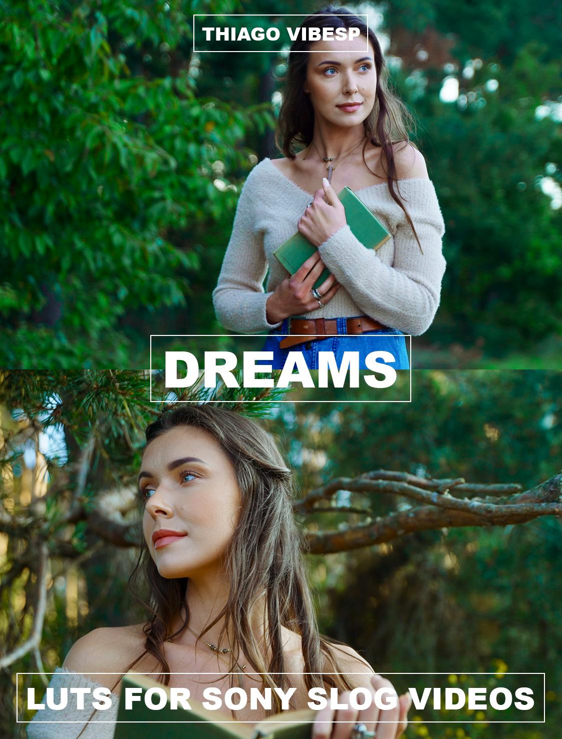 Elevate Your Sony S-Log Videos with These 4 Powerful LUTs