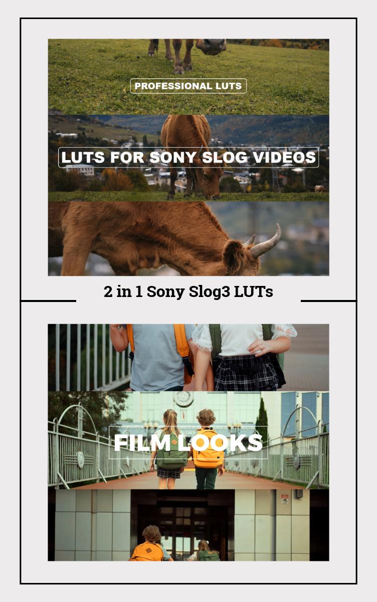 2 in 1 Super Pack: Sony S-Log3 LUTs – Cinematic LUTs for Professional Color Grading