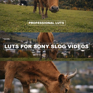 Cinematic Sony S-Log LUTs | Compatible with DaVinci Resolve, Premiere Pro, Final Cut Pro & More | Stunning Color Grading Presets