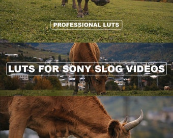 LUT cinématiques Sony S-Log | Compatible avec DaVinci Resolve, Premiere Pro, Final Cut Pro et plus | Superbes préréglages d'étalonnage des couleurs