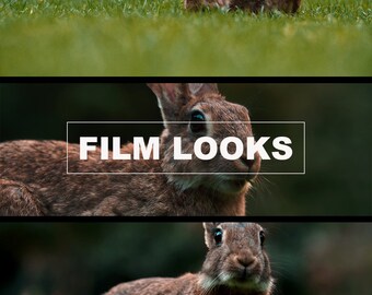 BMPCC Cinematic LUTs: Adobe Premiere Pro Color Grading Presets